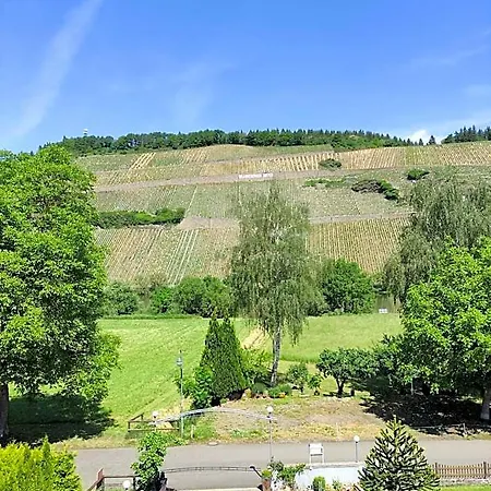 Gaestehaus Schneider Hotell 3*