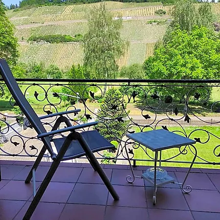 מלון Gaestehaus Schneider 3*