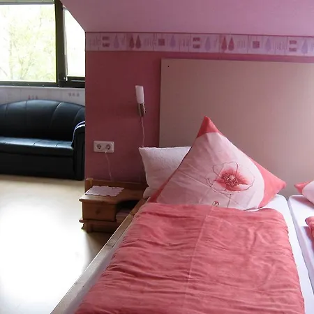 Gaestehaus Schneider 3* Браунеберг