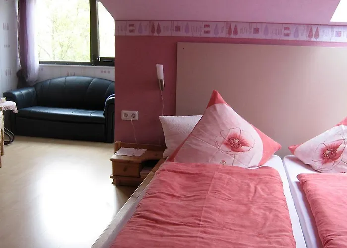 Gaestehaus Schneider 3* 브라운버그